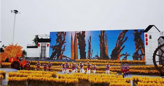 今日南京爆料最新消息新闻,聚焦城市热点事件追踪